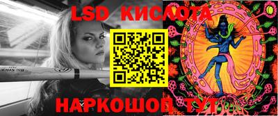ПСИЛОЦИБИНОВЫЕ ГРИБЫ Будённовск