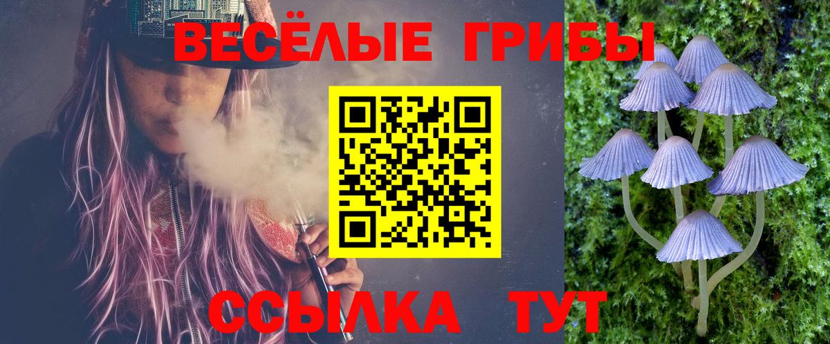 Галлюциногенные грибы ЛСД Рассказово