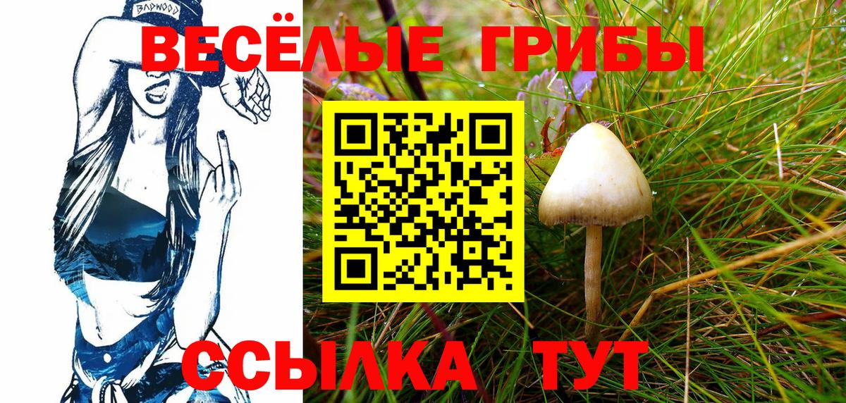 Псилоцибиновые грибы Cubensis  Вход с VPN  Рассказово 