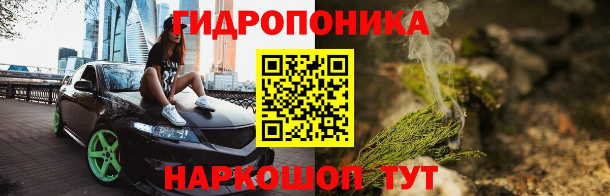 Канабис планчик  Канабис Bruce Banner  Вход с VPN  Каннабис марихуана  Рассказово  Конопля конопля 